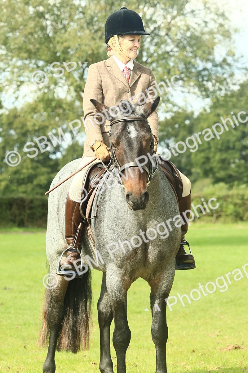 SBM_62673 - S63 - Other Coloured Horse Ridden