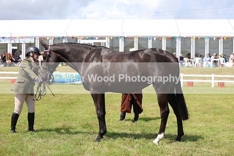 3E7A1226 - Class 8: Open Riding Horse/Hack