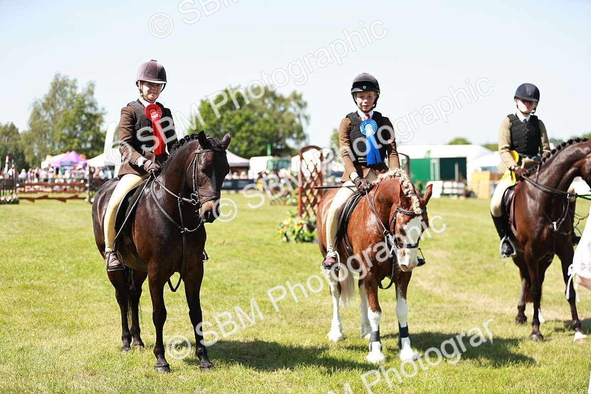 SBM_17669 - Class 112-113 - BSPS LIHS Working Sports Pony