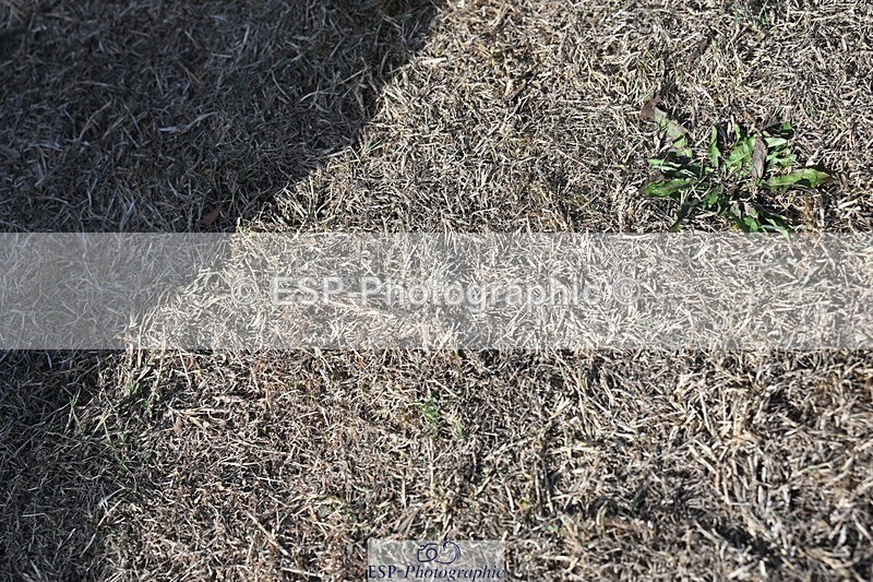 250821A-164241-18045 - All Presentations