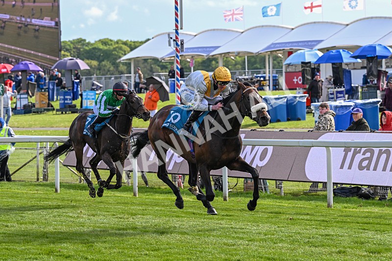 140526-Race 7-Arc Ole Ole-6022 - Race 7 5.15pm Frank Whittle Partnership Handicap