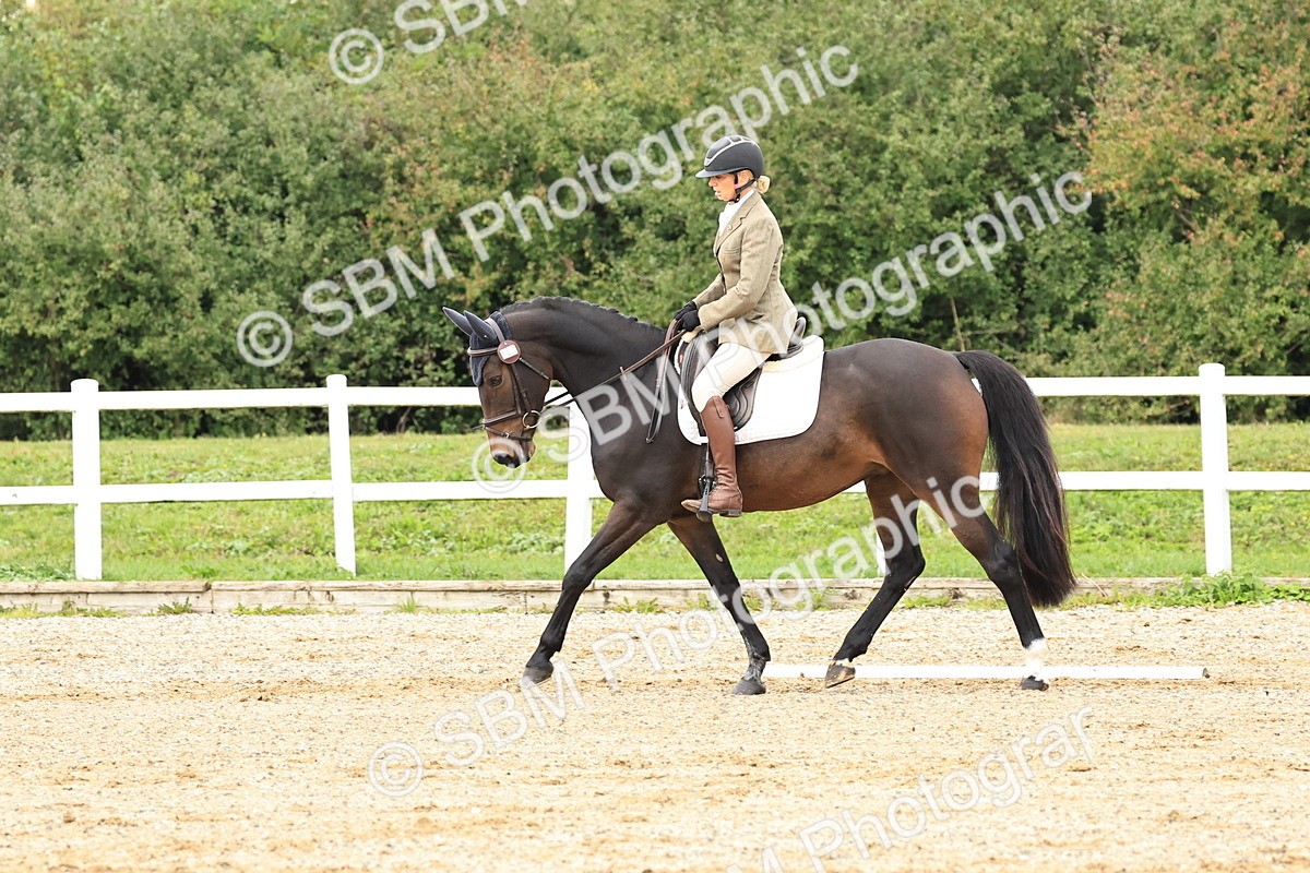 SBM_000206 - Prelim 2