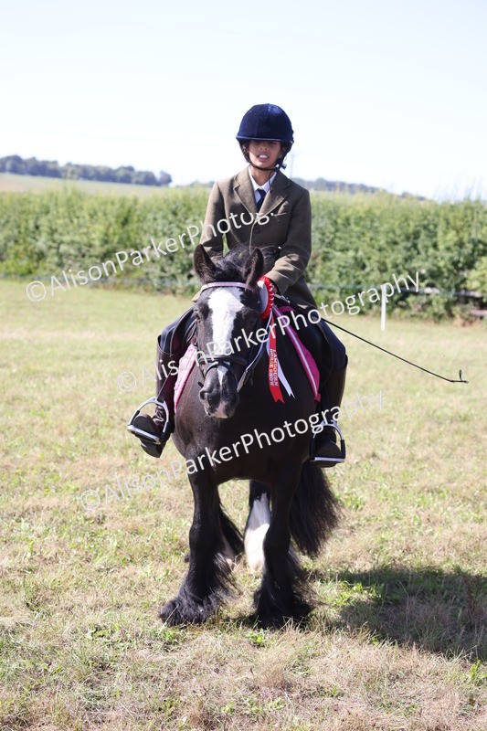 20260906-2305 - Class 16 - Family Pony