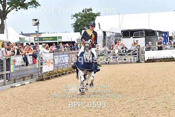BPP_0593 - RHS 2019 Selection - *Just some random spectator shots so Lucky Dip if you are there!