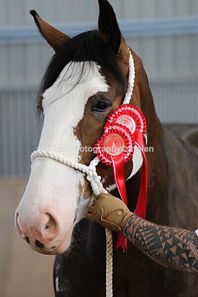 SIAL0401 - Indoor Classes