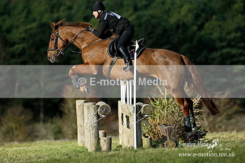 _LES7269a - Equestrian