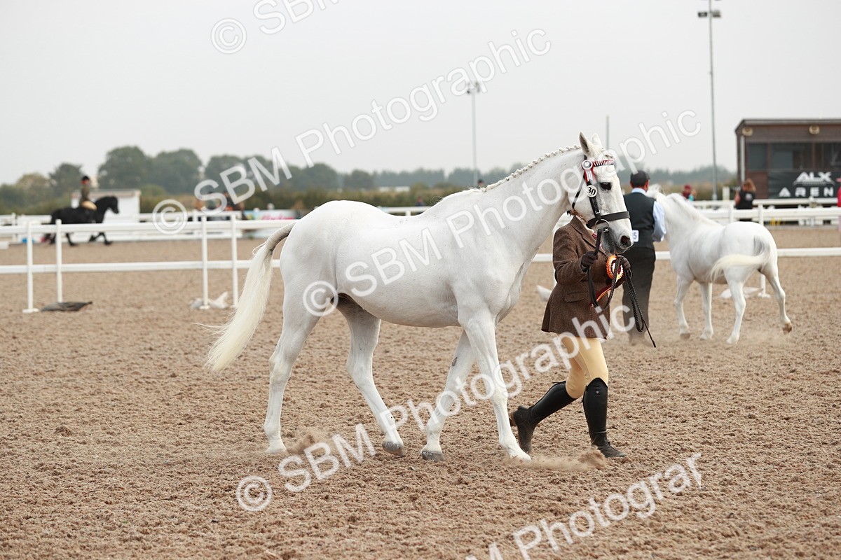 SBM_09596 - Class 201 Best Turned Out IH