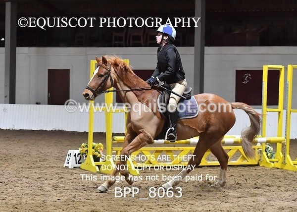 BPP_8063 - CLASS 1  Club/ Unaffiliated 60cms Open