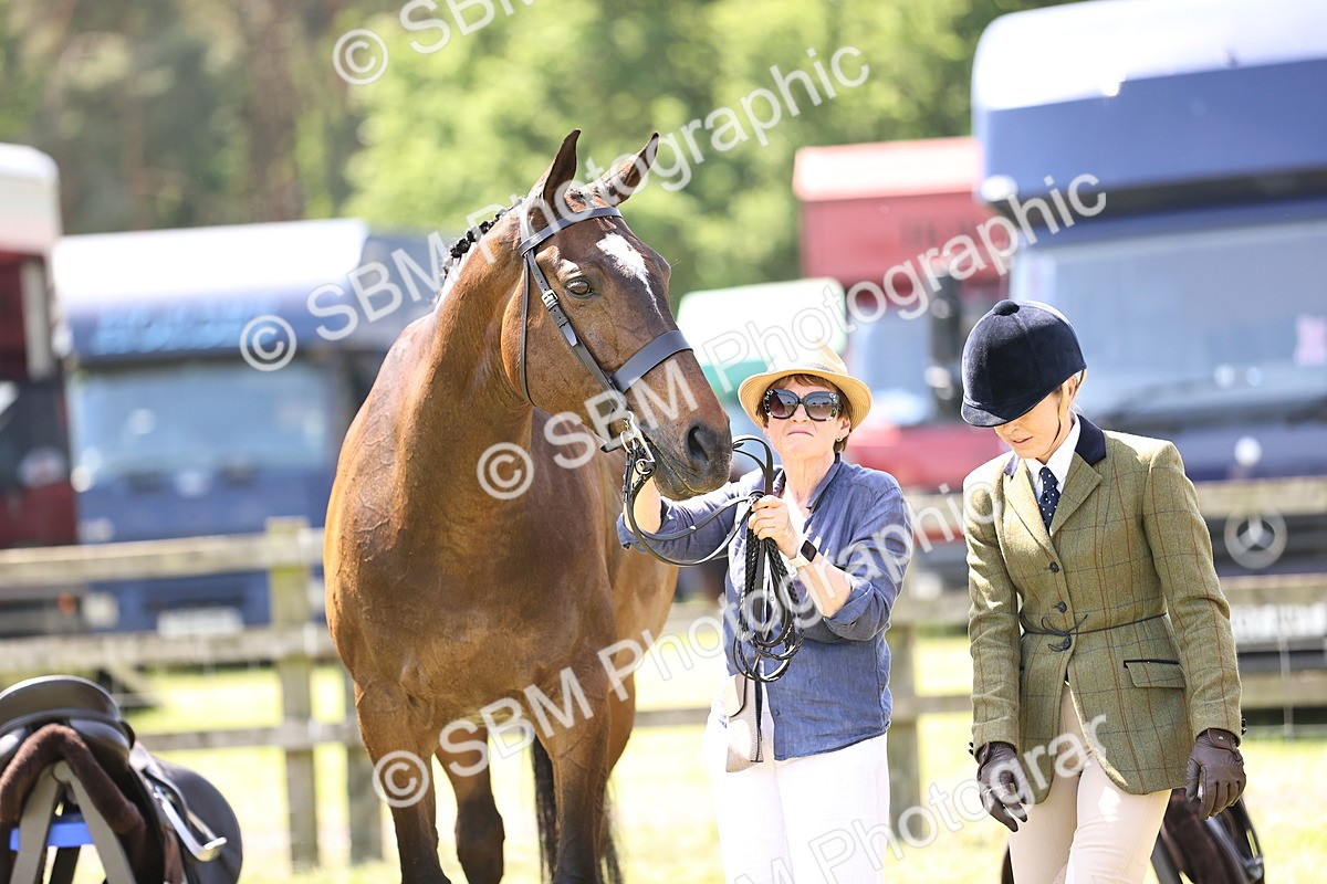 SBM_15166 - Class 79-80 - LIHS BSHA Rising Star Ridden Hunter