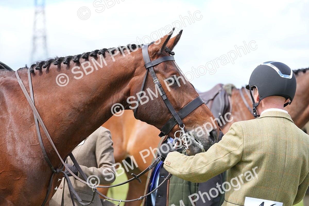 SBM_15029 - Class 100-102 - RIHS Working Hunter