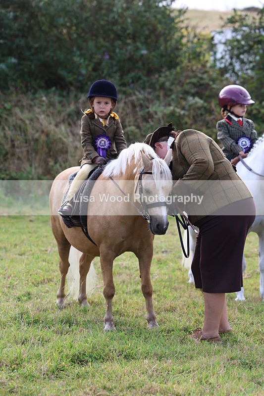 3E7A3798 - Class 2: Lead rein