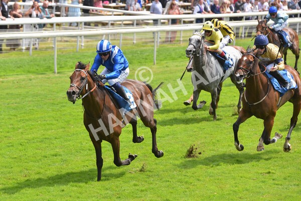 yr10072021r2-14 - Race 2: 2.20pm John Smith's Silver Cup Stakes