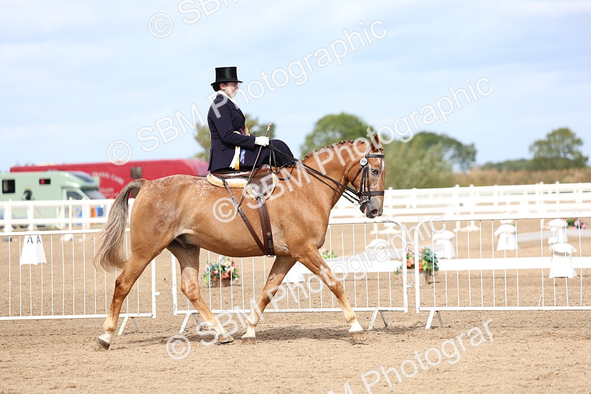 SBM_03284 - Class 22 - SSA Equitation (any age)