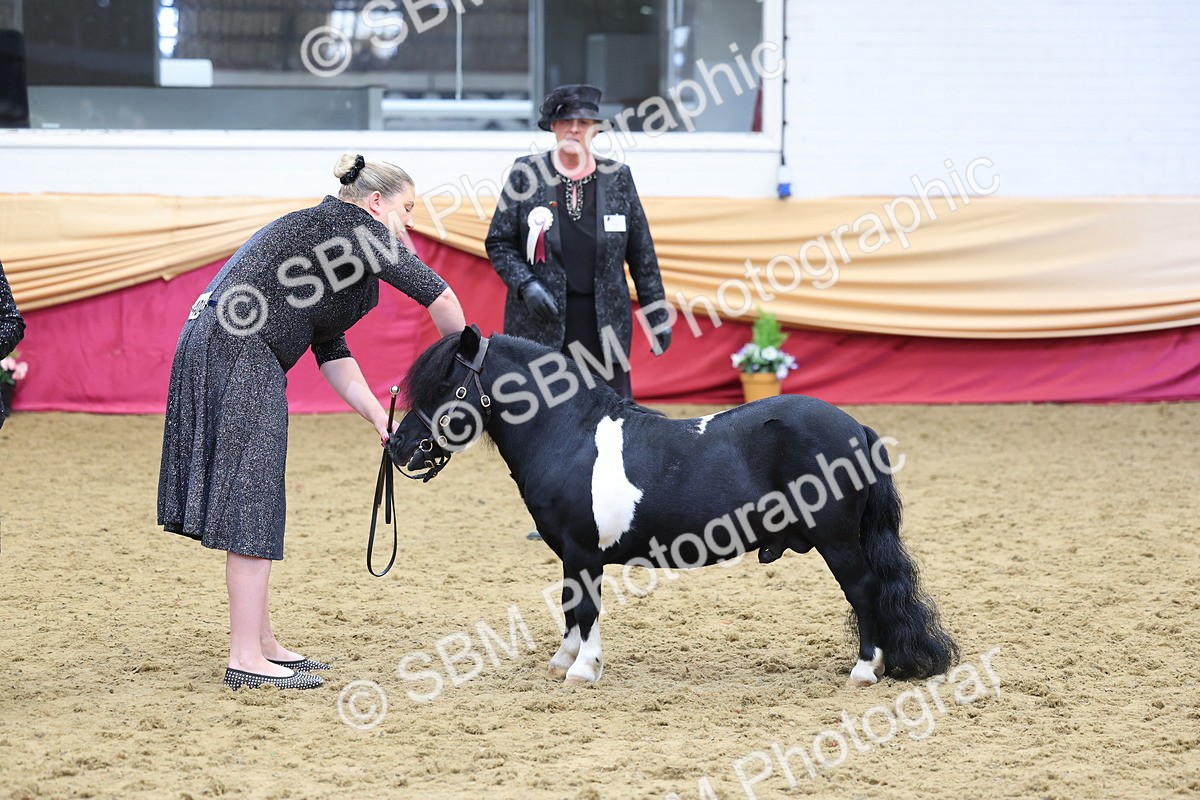 SBM_22911 - Class 903 - Supreme Final - IH Pre Vet