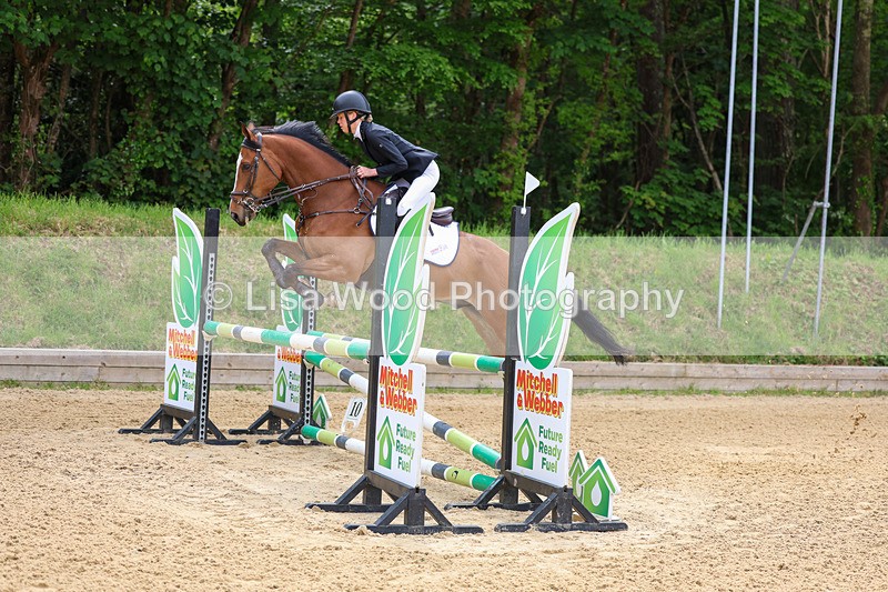 3E7A8566 - Class 4: Senior British Novice/90cm open