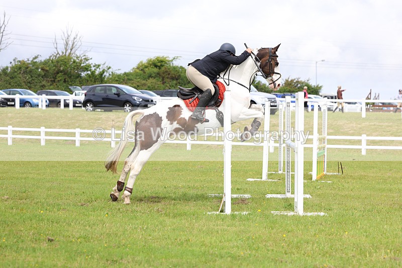 3E7A6786 - Class 11: Senior Newcomers/1.10 open