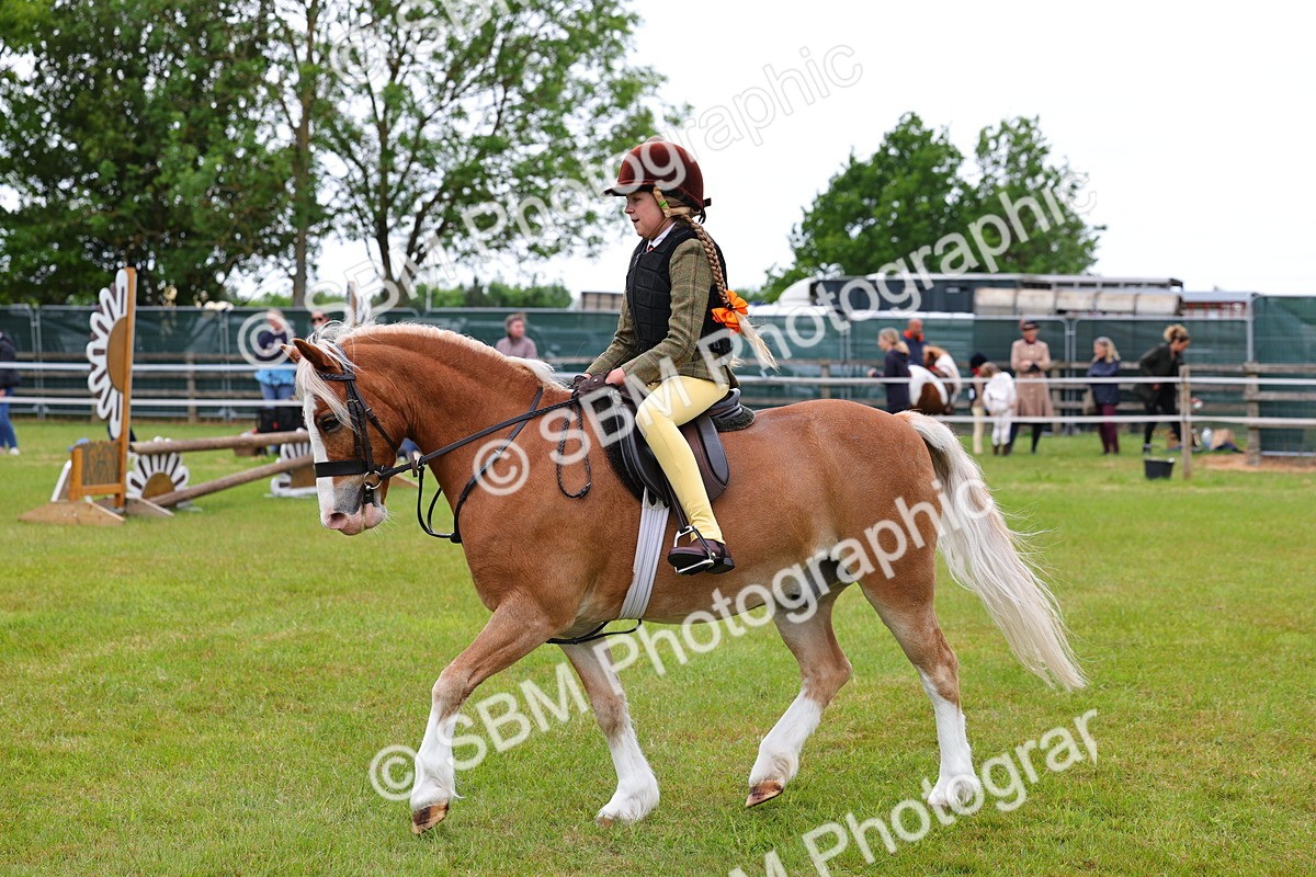 SBM_08736 - Class 42-43 - LIHS BSPS Heritage Working Sports Pony
