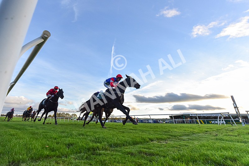 291024-Race 7-Crocodile Power-8841 - Race 7