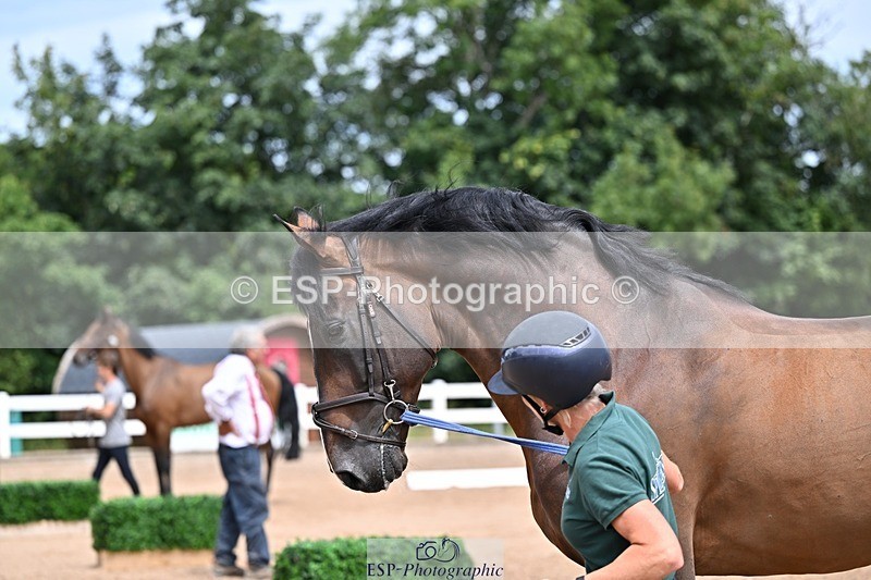 250716-132210-00465 - Trot Up 12.30 to 1.30