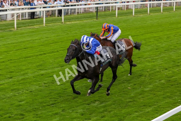230823-Race 4-Mostahdaf-4289 - Race 4 3.35pm Juddmonte International Stakes