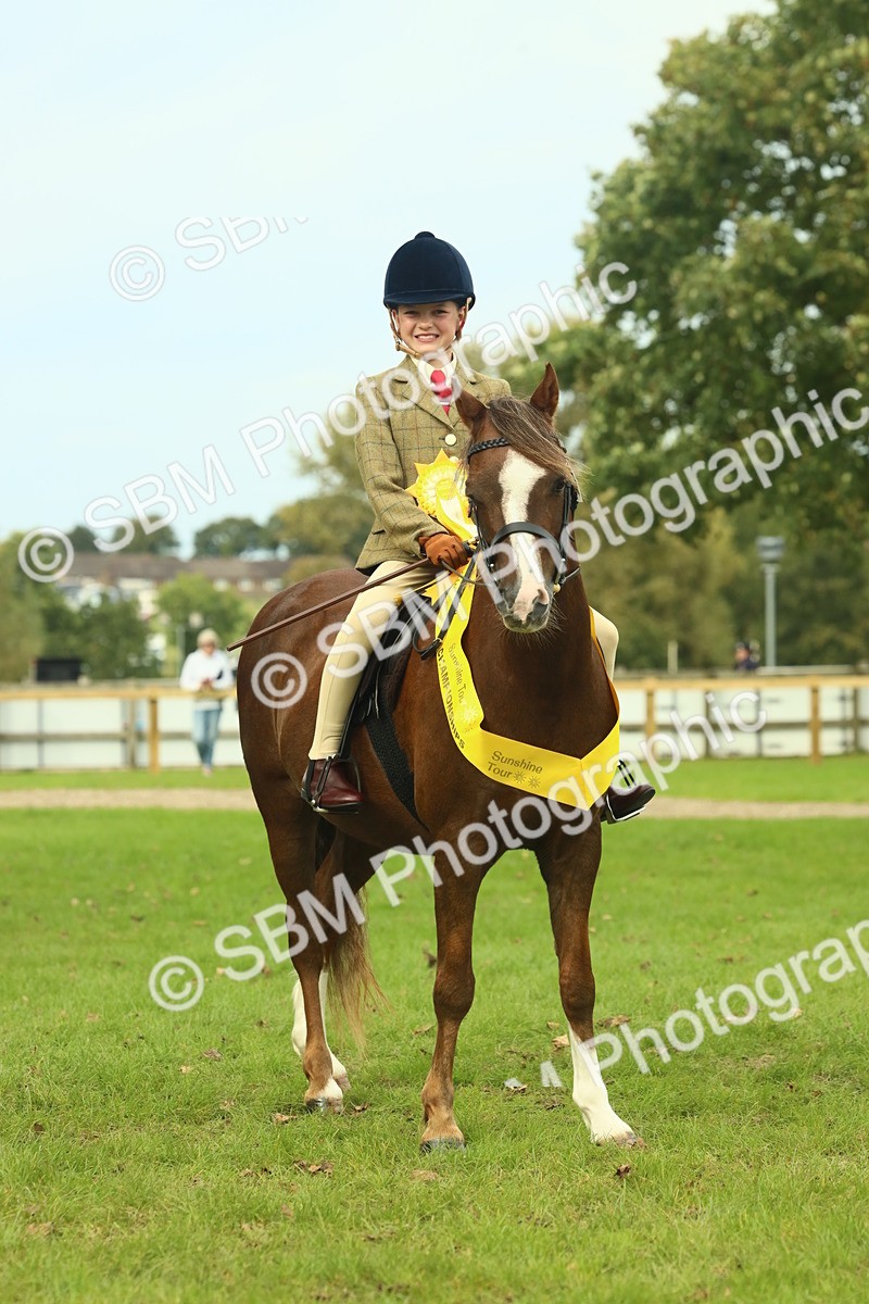 SBM_70019 - S59 - Mountain & Moorland Ridden Small Breeds