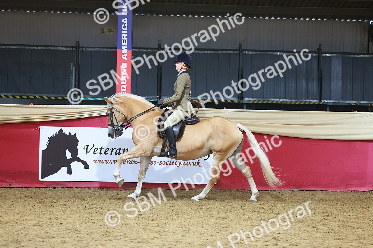 SBM_09659 - Class 102 - HOYS Veteran Qualifier - Ridden Veteran