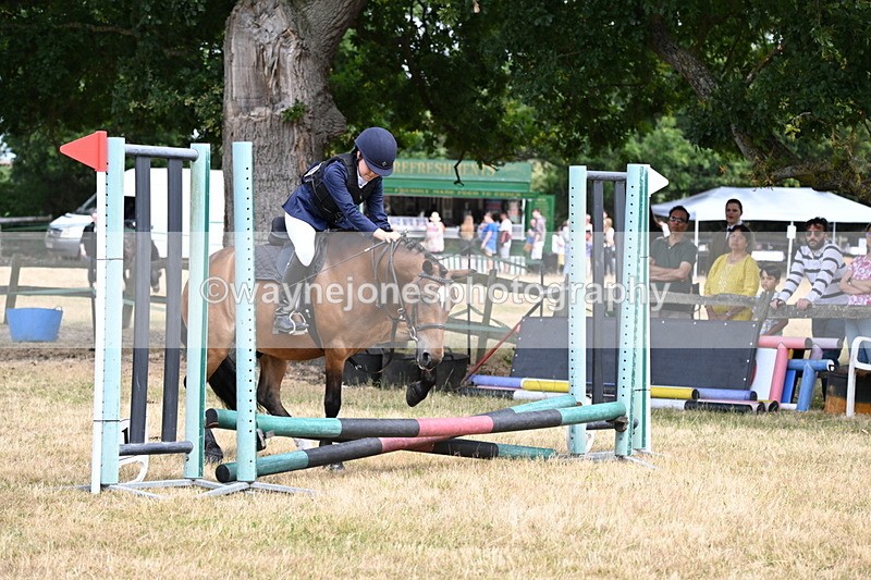 WJ6_5223 - Class 12 Minimus Jumping 45cm