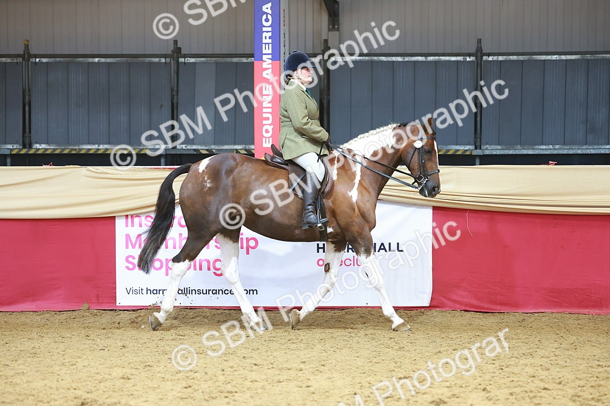 SBM_12425 - Class 103 - HOYS Veteran Qualifier - Ridden Pre Vet