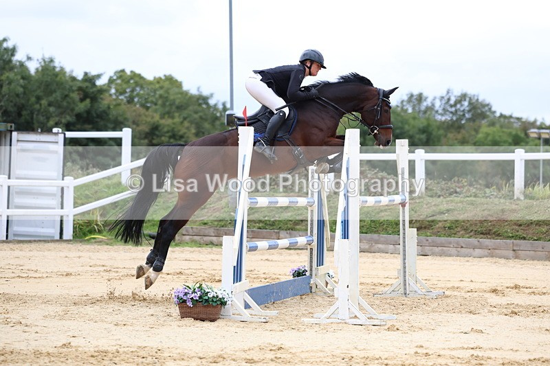 3E7A3378 - Class 9: Senior Foxhunter/1.20 open