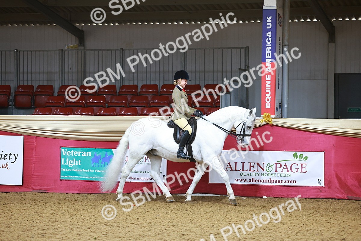 SBM_07570 - Class 101 - HOYS Veteran Qualifier - Ridden Diamond