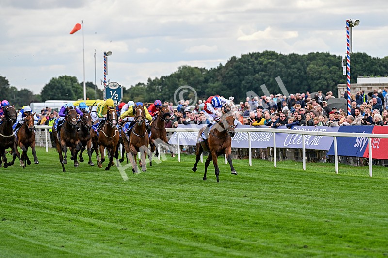 210826-Race 1-Blue Courvoisier-4938 - Race 1 13.50pm Sky Bet Mile Handicap