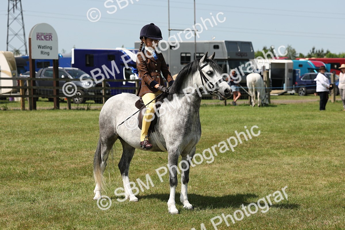 SBM_05358 - Class 24-25 - Mountain & Moorland In Hand Lead Rein and First Ridden