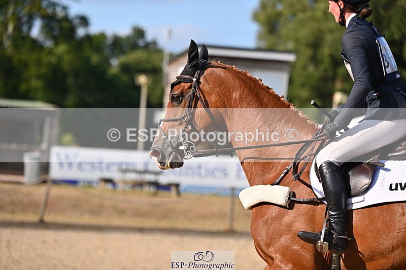 250802A-172840-08352 - H-360-Brier.Dunn-CATDOL.ASTORIA