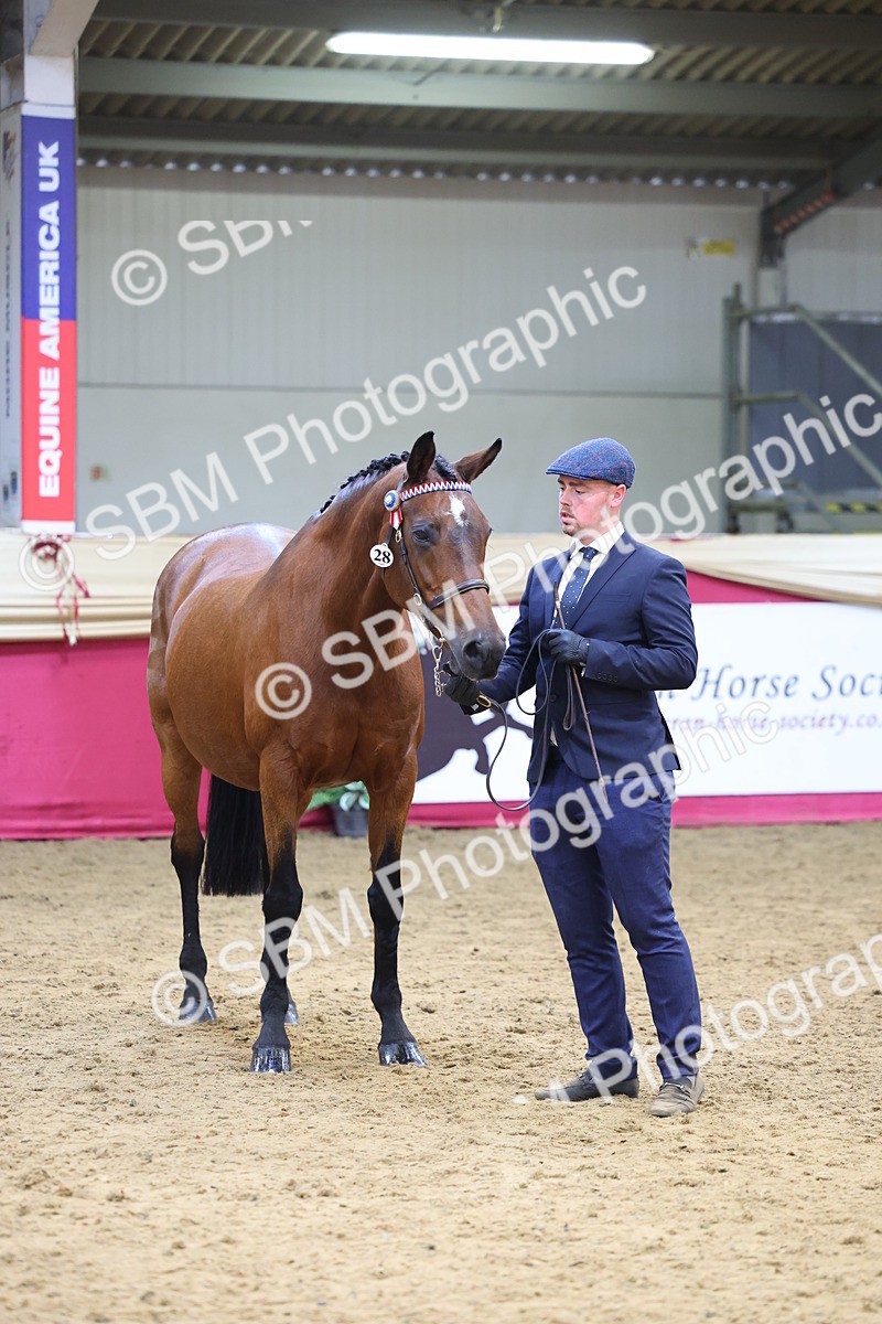 SBM_23219 - Supreme Final - IH Champion