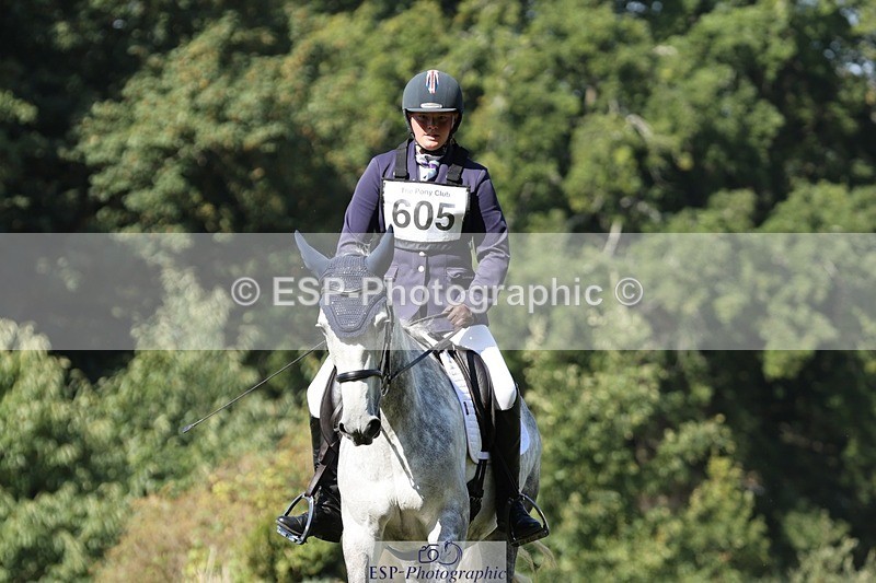 250823A-104606-27796 - Arena D