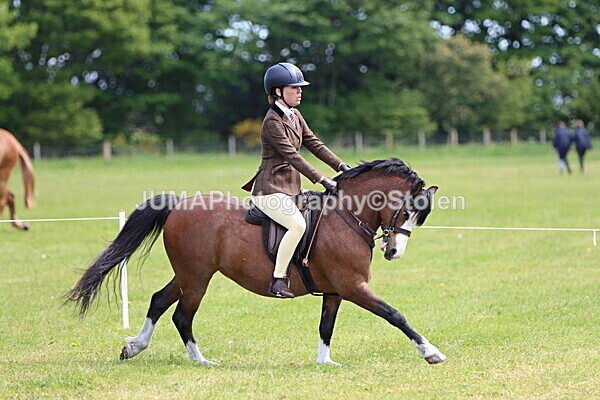 IMG_3455 - Working Hunter