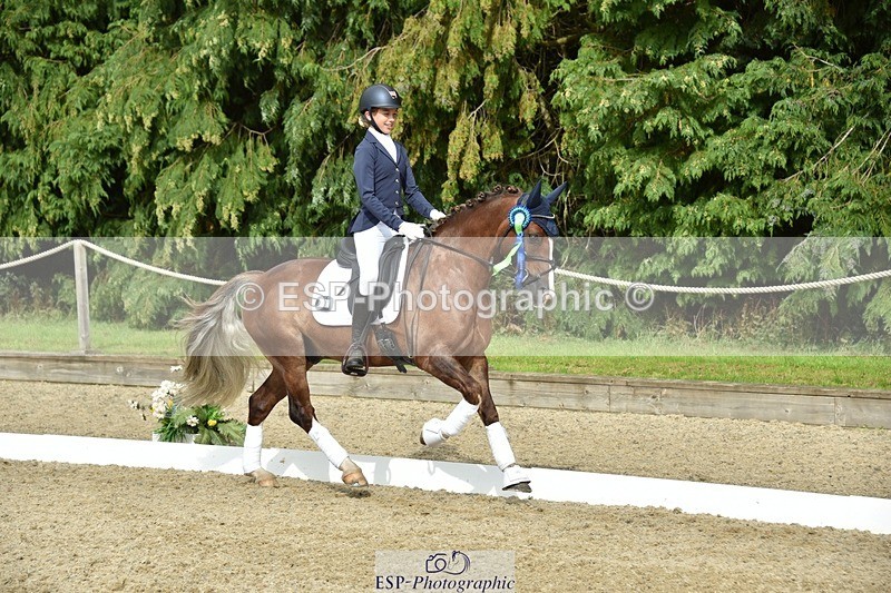 230812-160936-05447 - Novice Bronze Presentations