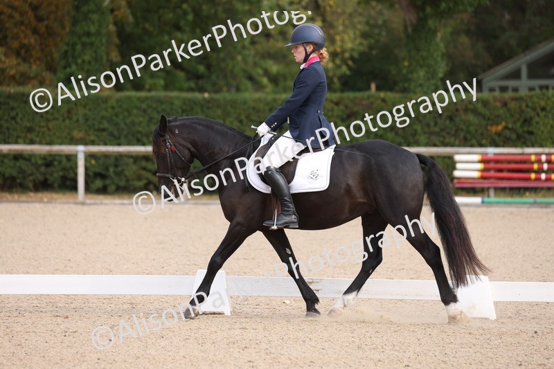 20250819-0811 - Class 1 - Intro 1