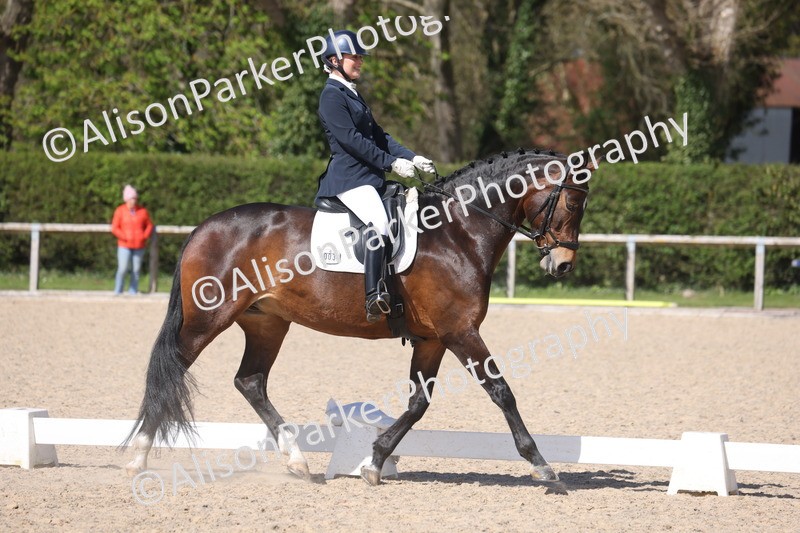 20260405-0586 - Class 7 - Medium 5