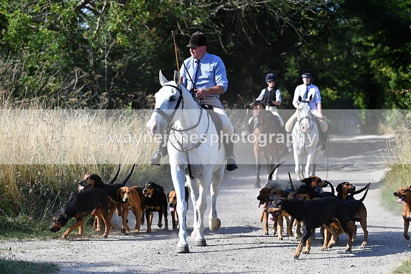 WJ5_4810 - Walk out with the hounds
