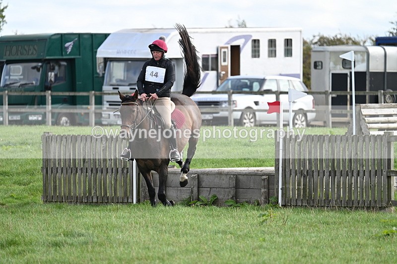 WJ7_8336 - 60cm Pairs