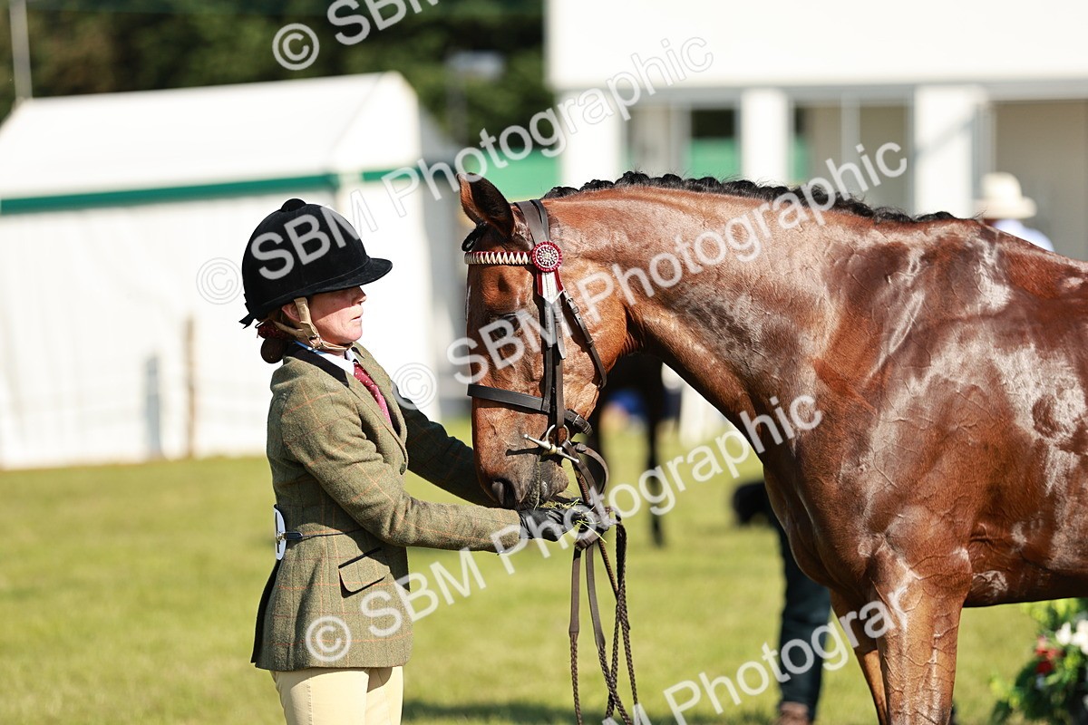 SBM_19283 - Class 115-116 - LIHS BSHA Rising Star Working Hunter & Show Horse