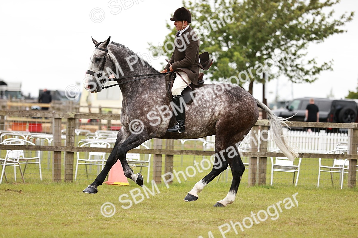 SBM_10937 - Class 81-84 - RIHS Ridden hunters Inc Ladies Hunter