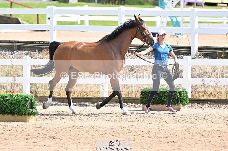 240717A-152056-02773 - Trot Up 3pm to 4pm