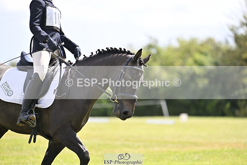 240824X-131021-26718_D80 Section E and F 1200 to 1320 - 778-981-5424