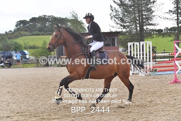 BPP_2444 - SAT CLASS 13 Senior Foxhunter/ 1.20m Open