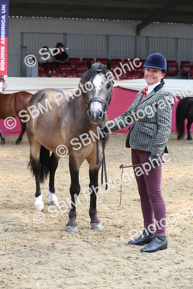 SBM_15343 - Class 501 M&M IH Supreme Final