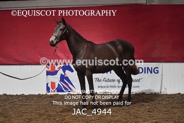 JAC_4944 - 4 River Dance, Take A Chance