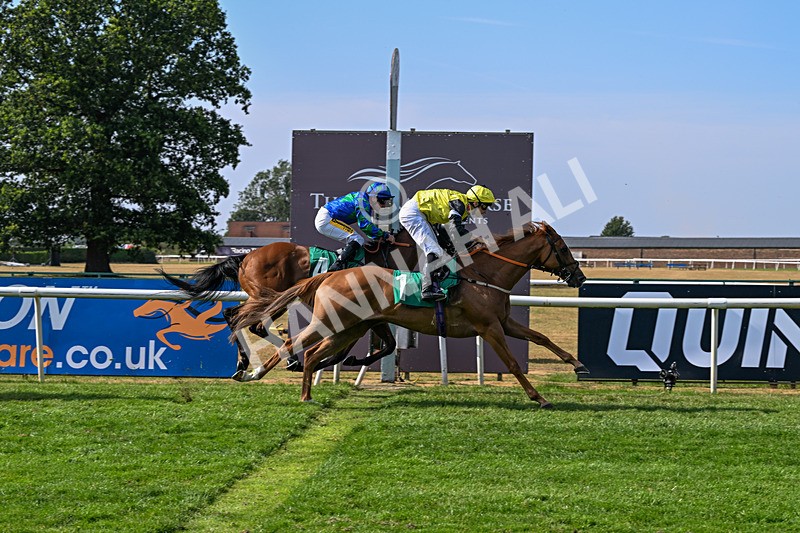 160726-Race 6-Capital Guarantee-5152 - Race 6 16.45pm Thirsk Sky Bet Summer Festival Day Friday 24th July Handicap