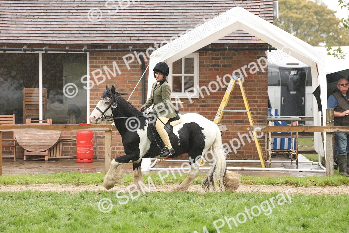 SBM_72846 - S70 - Traditional Cob Ridden